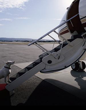 特殊物品空運(yùn)
